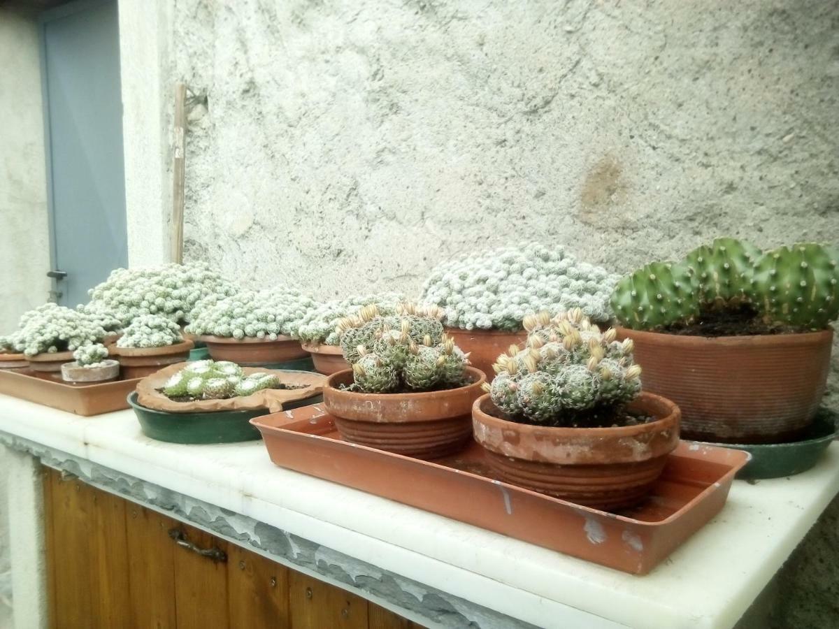 Pognana LarioCasa Del Borgo别墅 外观 照片